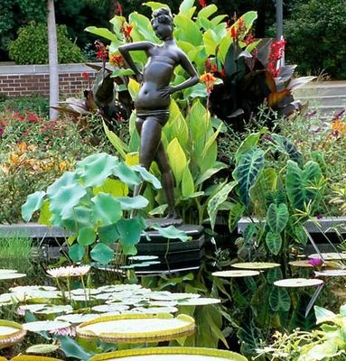 Ботанический сад Миссури